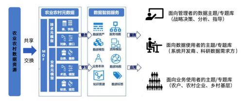 數(shù)字鄉(xiāng)村建設(shè)中的成功案例與數(shù)據(jù)處理實(shí)踐